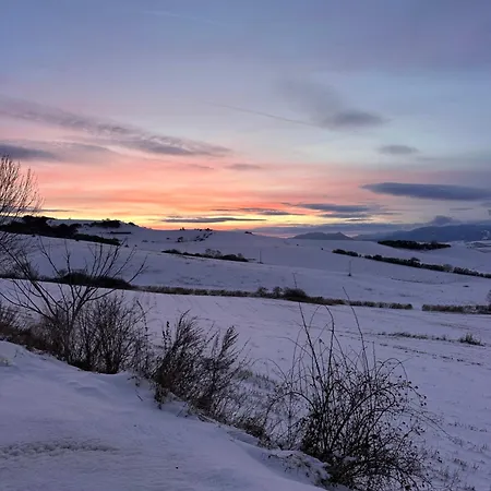 Matica Nest - Cozy In The Center * Martin