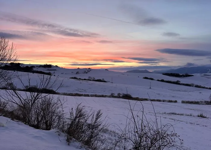 Matica Nest - Cozy In The Center * Martin